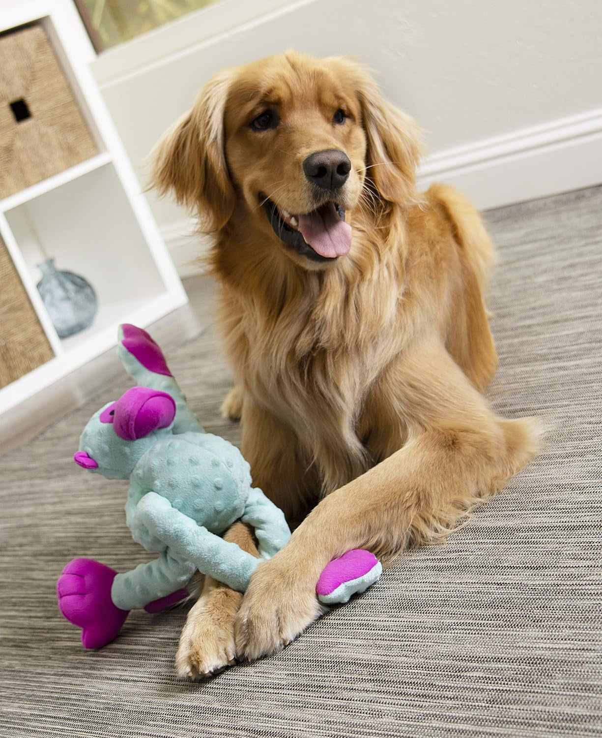 Unleash Playtime with the Crazy Tugs Monkey Squeaky Plush Tug Toy - Durable & Fun for Your Dog! 🐾💙