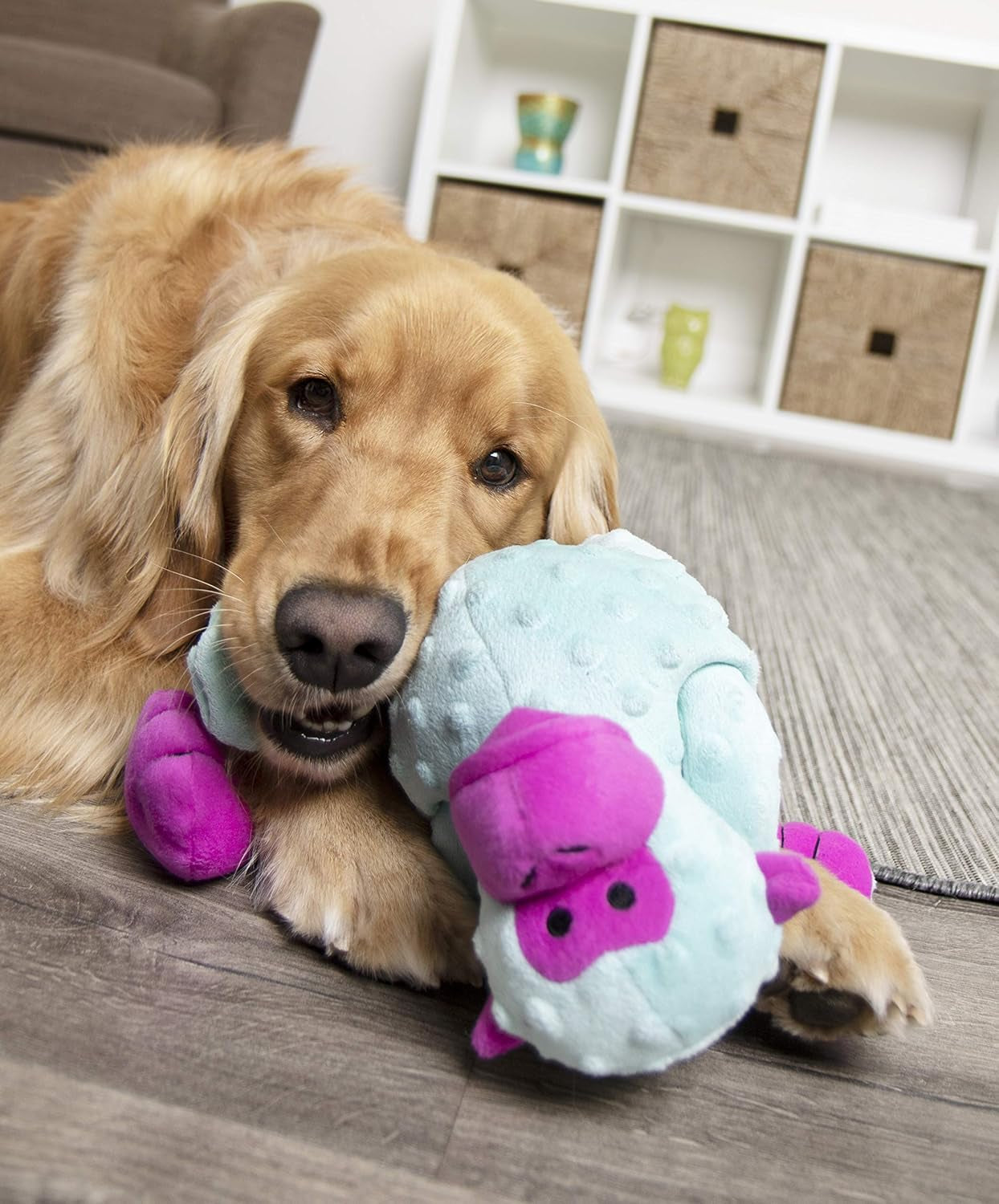 Unleash Playtime with the Crazy Tugs Monkey Squeaky Plush Tug Toy - Durable & Fun for Your Dog! 🐾💙